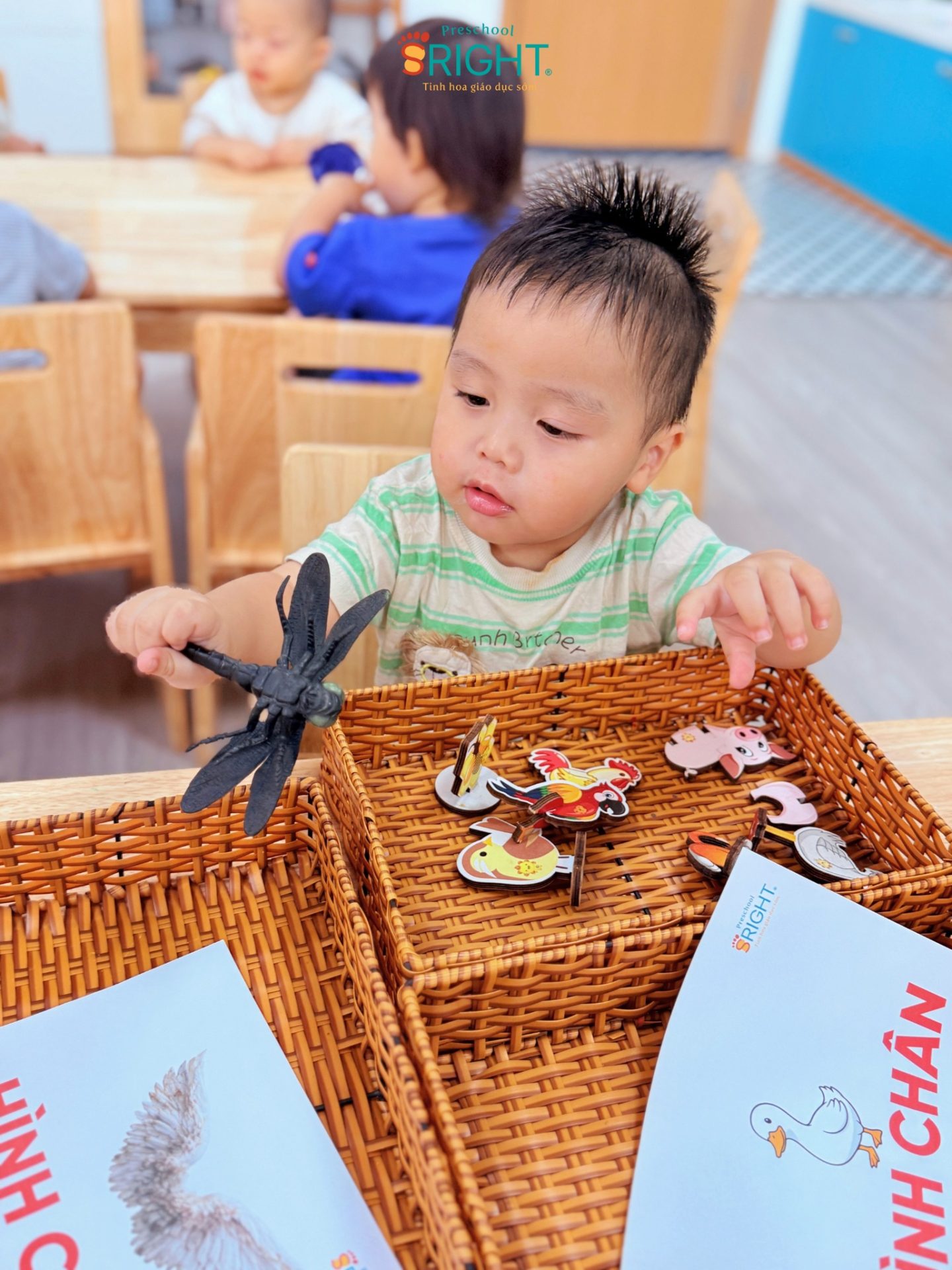 HÀNH TRÌNH KHÁM PHÁ THẾ GIỚI ĐỘNG VẬT CÙNG TIẾT TOÁN TẠI SRIGHT PRESCHOOL